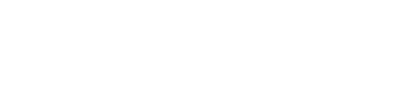 Window Guy
